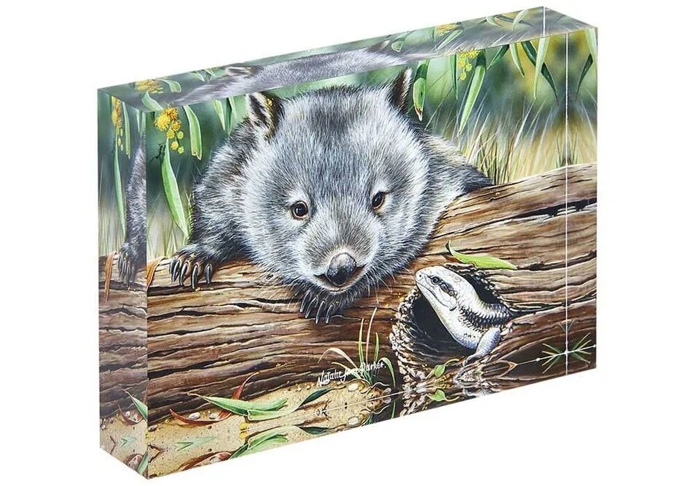 Ashdene Fauna of Australia - Wombat & Lizard Mini Gallery