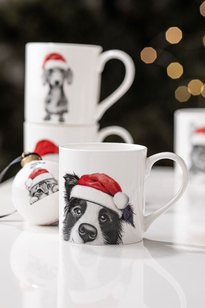 Ashdene Santa Paws - Border Collie Mug