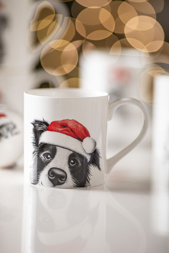 Ashdene Santa Paws - Border Collie Mug