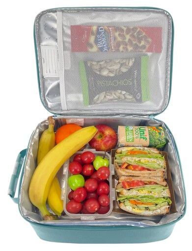 Sachi Insulated Junior XL Lunch Bag - Check It Out