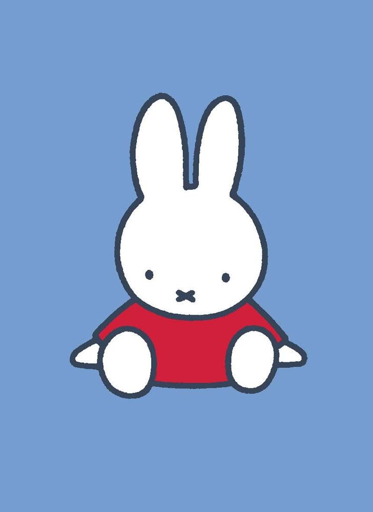 All Wrapped Up - Miffy Card and Envelope Set