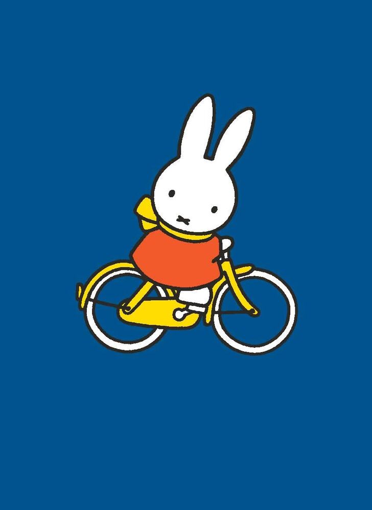 All Wrapped Up - Miffy Card and Envelope Set