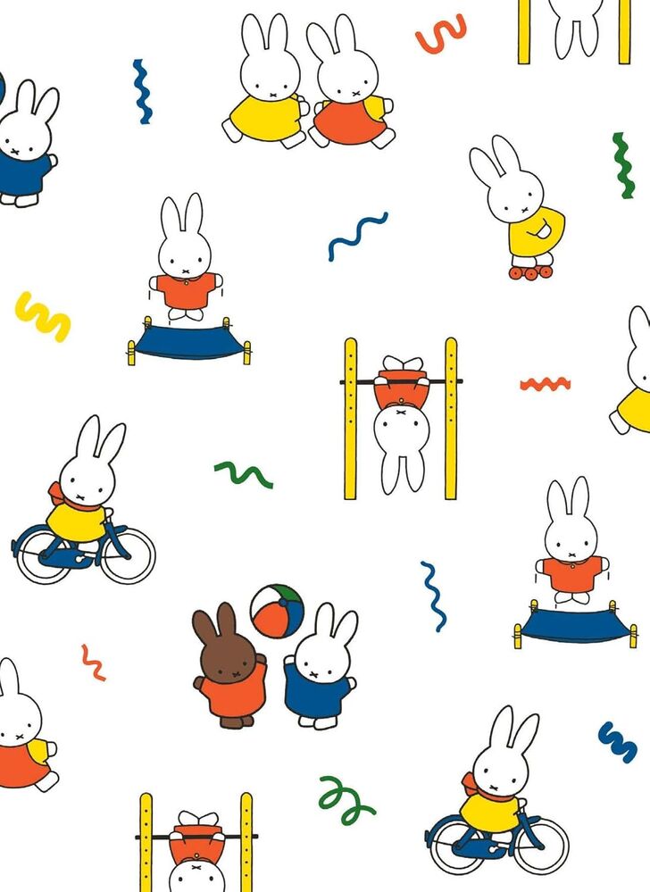 All Wrapped Up - Miffy Card and Envelope Set