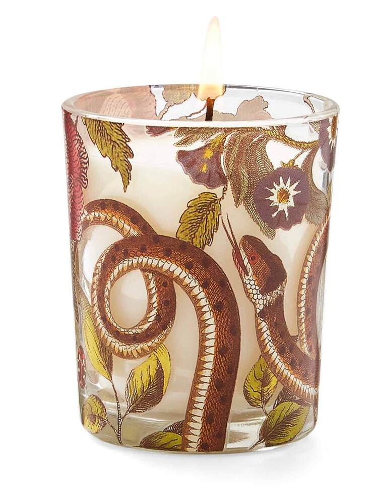 Spode Creatures Of Curiosity - Scented Candles (Set of 3)