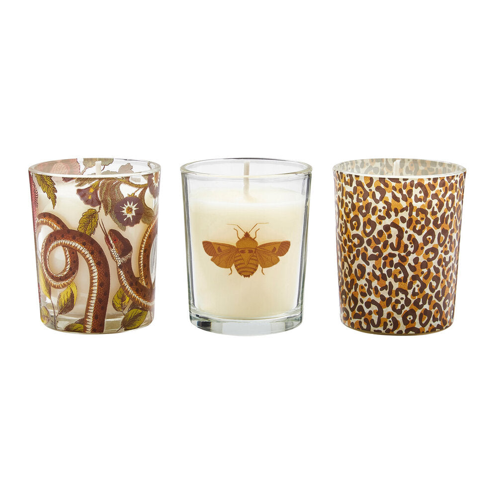 Spode Creatures Of Curiosity - Scented Candles (Set of 3)