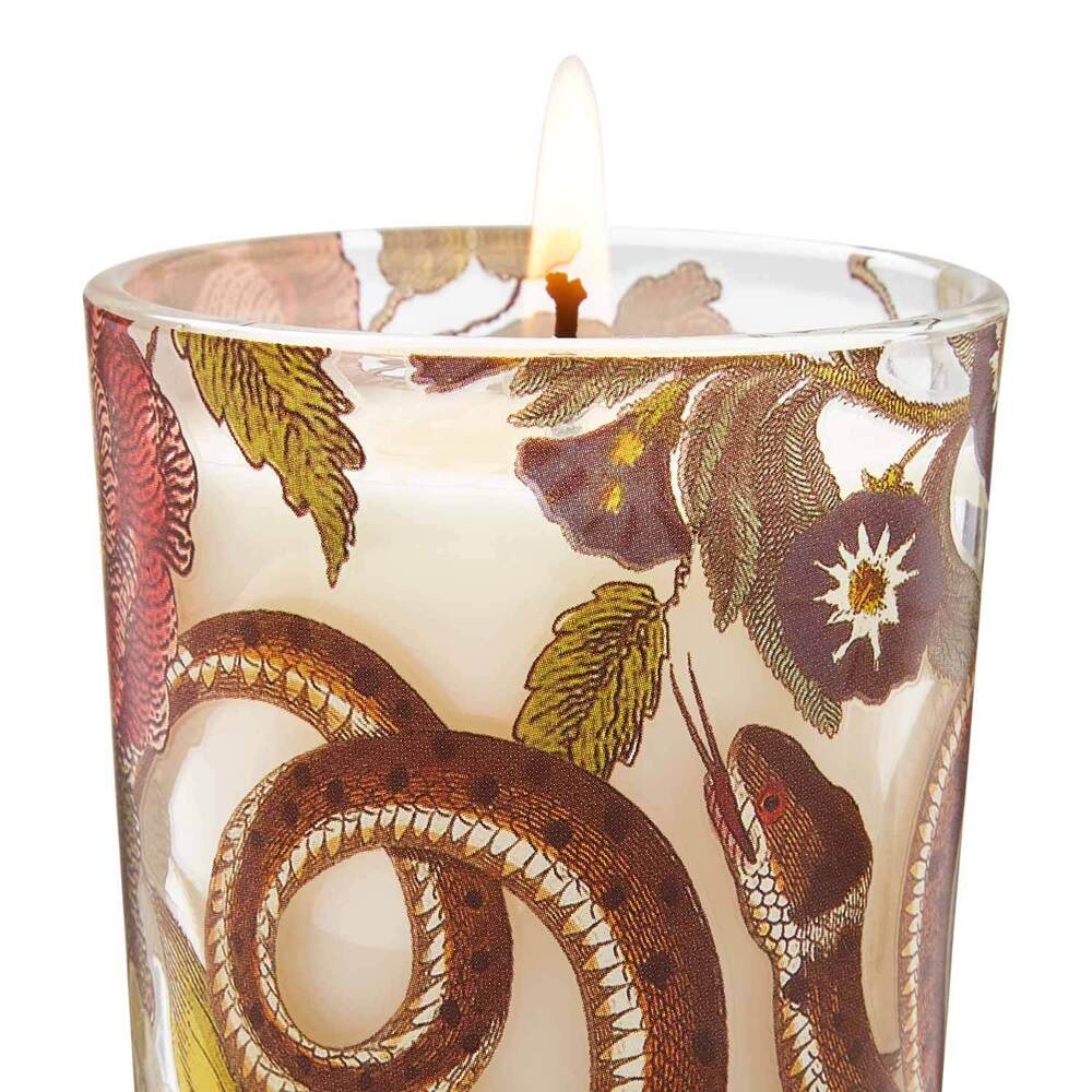 Spode Creatures Of Curiosity - Scented Candles (Set of 3)
