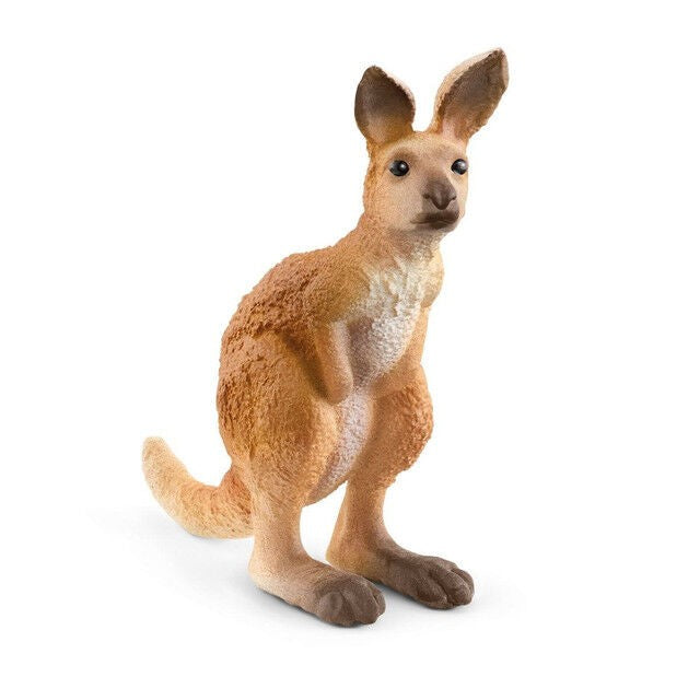 alt_6