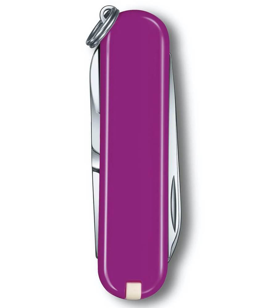 Victorinox Swiss Army Knife - Classic SD Tasty Grape