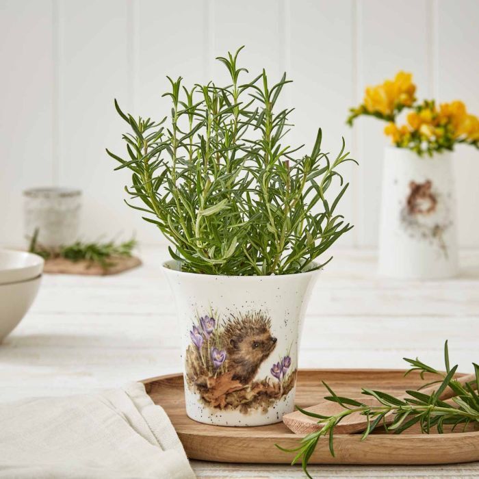 Royal Worcester Wrendale Herb Pot - New Beginnings