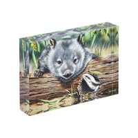 Ashdene Fauna of Australia - Wombat & Lizard Mini Gallery