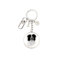 Ashdene Delightful Dogs - Border Collie Keyring