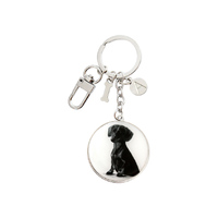 Ashdene Delightful Dogs - Dachshund Keyring