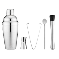 Tempa Aurora - Silver 5pc Cocktail Set