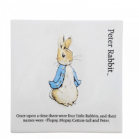 Beatrix Potter Peter Rabbit Decorative Wall Plaque - Peter Rabbit