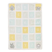 Disney Enchanting Baby - ABC Blanket