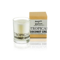 Scents of Nature by Tilley Soy Candle - Tropical Coconut Cream