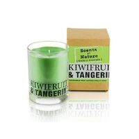 Scents of Nature by Tilley Soy Candle - Kiwifruit & Tangerine