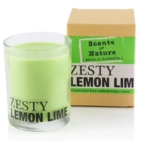 Scents of Nature by Tilley Soy Candle - Zesty Lemon Lime