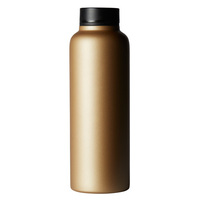 T2 Stainless Steel Flask - Gold