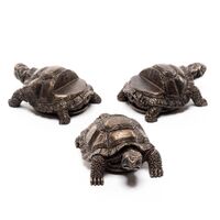 Jardinopia Potty Feet - Antique Bronze Tortoise (Set Of 3)