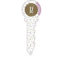 18th Birthday Confetti Key