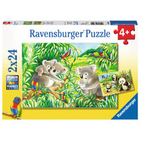 Ravensburger Puzzle 2 x 24pc - Sweet Koalas and Pandas