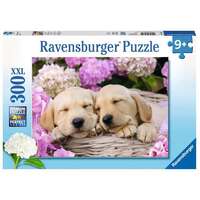 Ravensburger Puzzle 300pc XXL - Sweet Dogs in a Basket