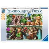 Ravensburger Puzzle 500pc - Cats on the Shelf