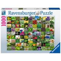 Ravensburger Puzzle 1000pc - 99 Herbs and Spices