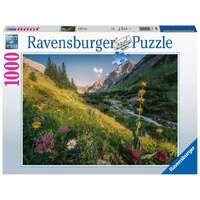 Ravensburger Puzzle 1000pc - Magical Valley