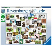 Ravensburger Puzzle 1500pc - Funny Animals