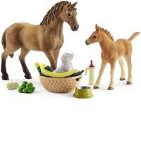 Schleich Horse Club - Horse Club Sarah’s Baby Animal Care