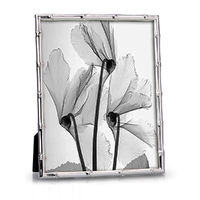 Whitehill Studio - Silver Plated Photo Frame -  Bamboo 20cm x 25cm