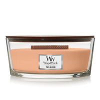 WoodWick Candle - Ellipse Yuzu Blooms
