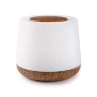 Aroma Home Diffuser By Lively Living