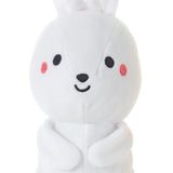 Hallmark Better Together Magnetic Plush - Bunny and Carrot