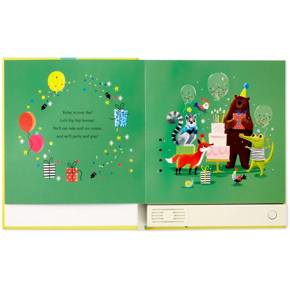 Hallmark Gifts - Happy Birthday To You! Recordable Storybook with Music