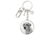 Ashdene Delightful Dogs - Labrador Keyring