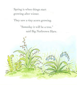 I Love You All Year Round: 4 Classic Guess How Much I Love You Stories Book