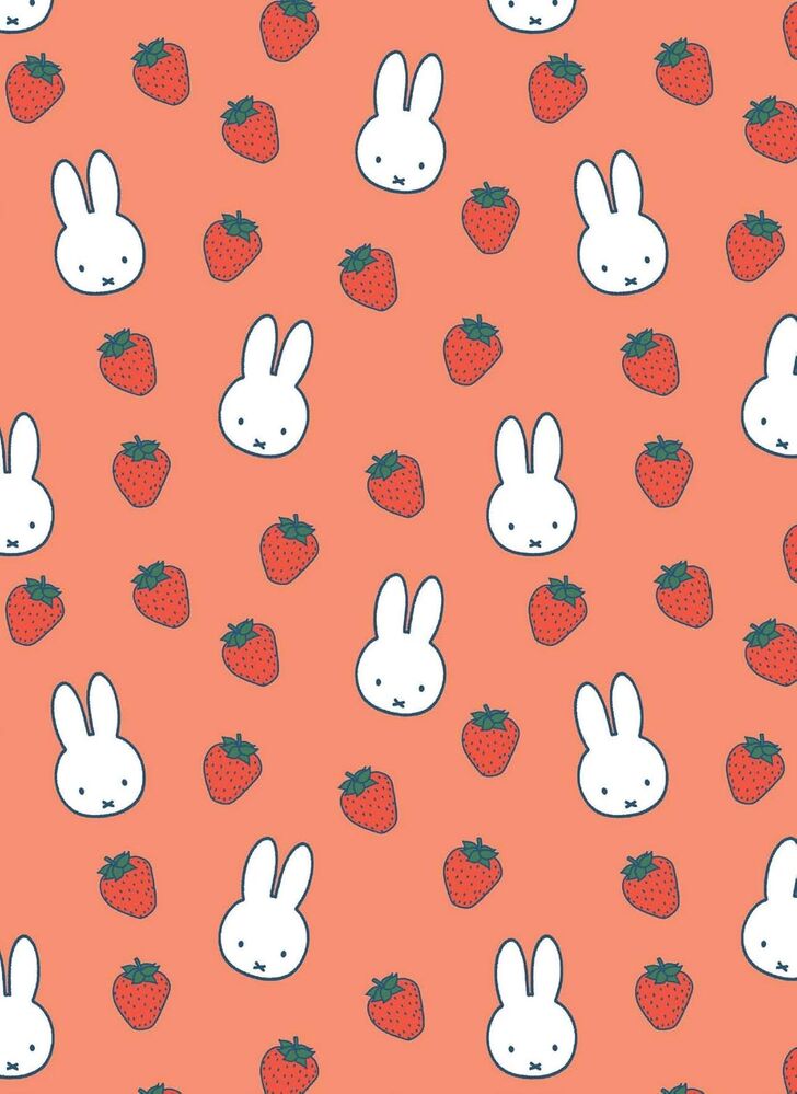 All Wrapped Up - Miffy Card and Envelope Set