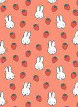 All Wrapped Up - Miffy Card and Envelope Set