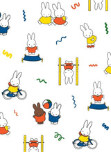 All Wrapped Up - Miffy Card and Envelope Set