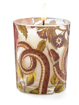 Spode Creatures Of Curiosity - Scented Candles (Set of 3)