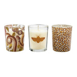 Spode Creatures Of Curiosity - Scented Candles (Set of 3)
