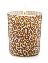 Spode Creatures Of Curiosity - Scented Candles (Set of 3)