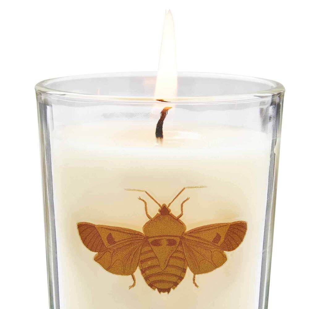 Spode Creatures Of Curiosity - Scented Candles (Set of 3)
