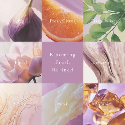 MOR Primavera Fig Car Diffuser - Refill Fragrance Disc