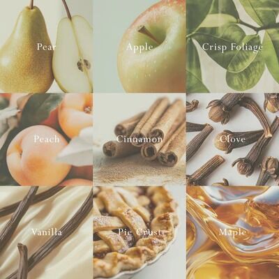 MOR Emporium Classics Reed Diffuser - Blanc Italian Pear