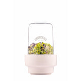Kilner Sprouting Set - 500ml