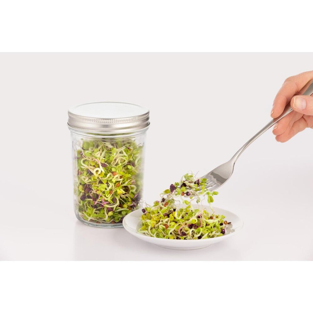 Kilner Sprouting Set - 500ml